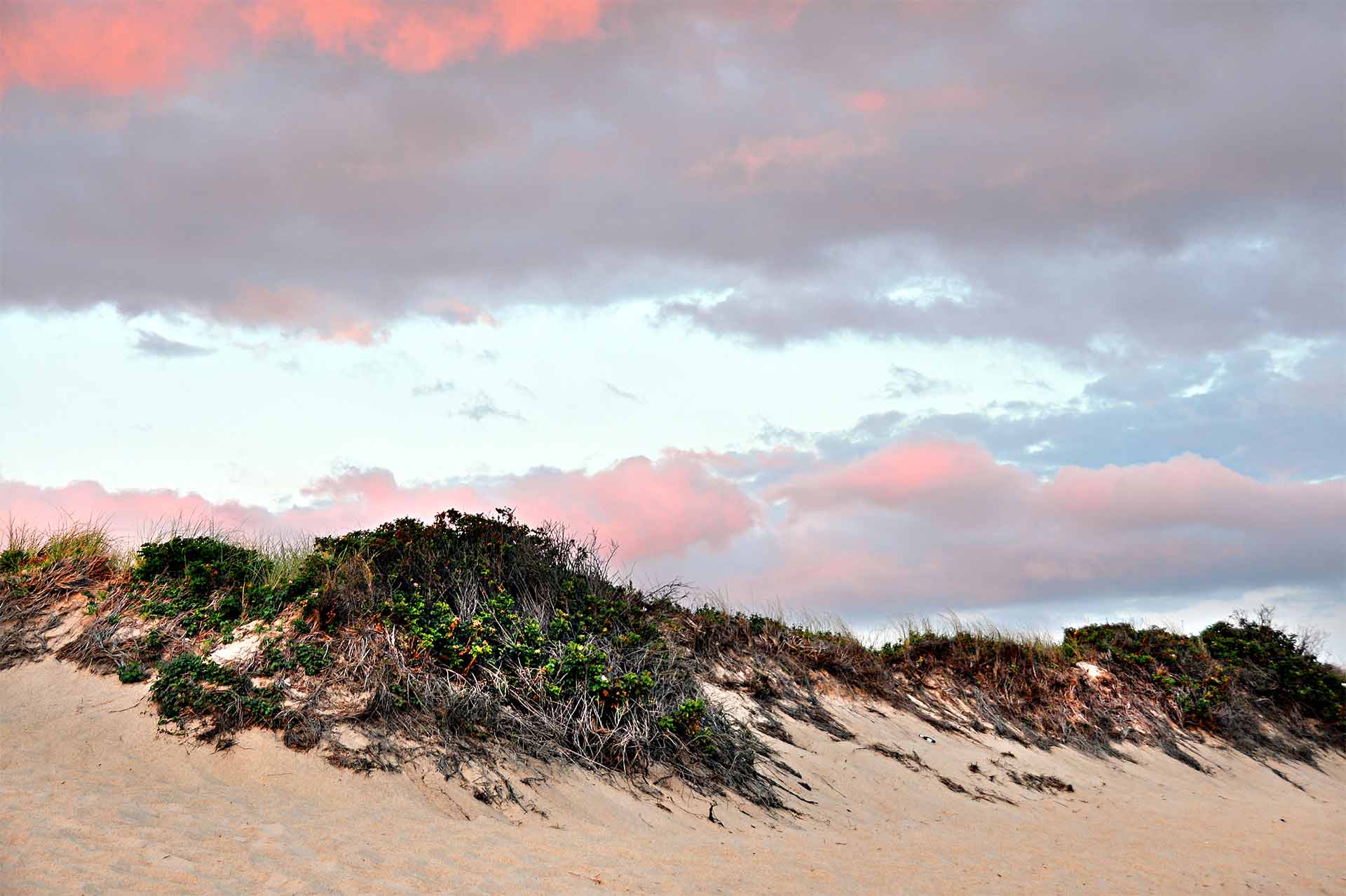 MaryAnn Vitiello Photography