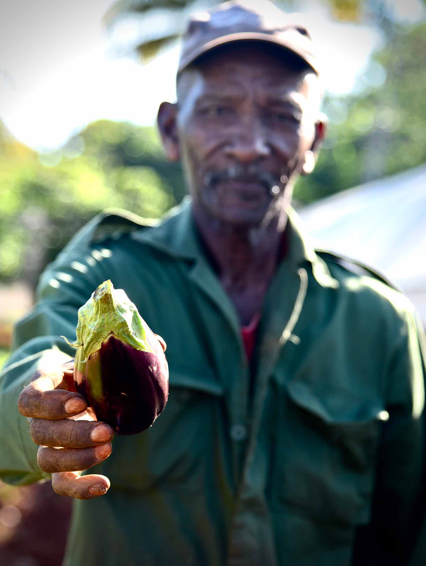 MaryAnn Vitiello Photography - Cuba